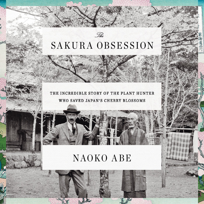 The Sakura Obsession Cover