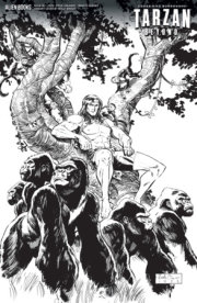 Tarzan Beyond #2 Variant D (Brown B&W) 