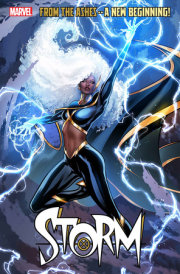 STORM #1 POSTER 
