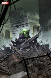 INCREDIBLE HULK #19 MARTIN COCCOLO STORMBREAKERS VARIANT 