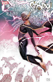 STORM #2 STEPHANIE HANS VARIANT 