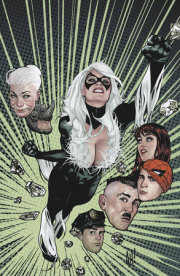 BLACK CAT #2 ADAM HUGHES RATIO VIRGIN 2ND PRINTING VARIANT 