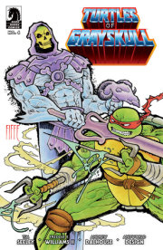 Masters of the Universe/Teenage Mutant Ninja Turtles: Turtles of Grayskull #4 (CVR B) (Michel Fiffe) 