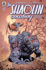 Shaolin Cowboy: Staying A.I.Live #1 (CVR B) (Ryan Ottley) 