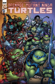 Teenage Mutant Ninja Turtles #130 Variant RI (Frank) 