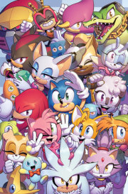 Sonic the Hedgehog #50 Variant B (Stanely)