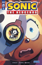 Sonic the Hedgehog #53 Variant RI (10) (Fourdraine)