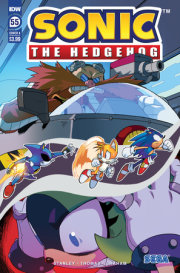 Sonic the Hedgehog #55 Variant A (Hammerstrom)