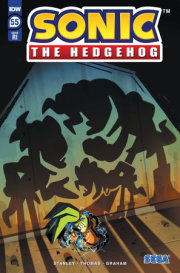 Sonic the Hedgehog #55 Variant RI (10) (Fourdraine)