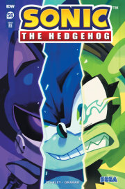 Sonic the Hedgehog #56 Variant RI (10) (Fourdraine) 