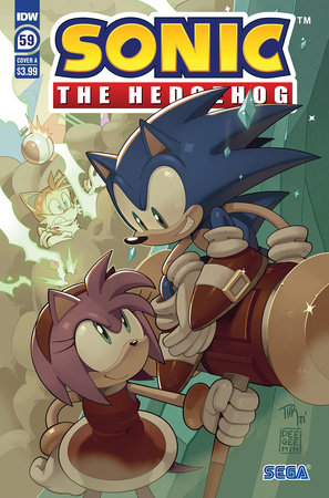 Sonic the Hedgehog, Vol. 10: Test Run! - by Evan Stanley (Paperback)