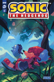 Sonic the Hedgehog #62 Variant RI (10) (Fourdraine)