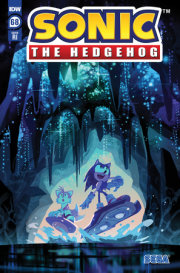 Sonic the Hedgehog #68 Variant RI (10) (Fourdraine)