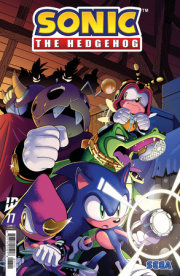 Sonic the Hedgehog #77 Cover A (Thomas) 