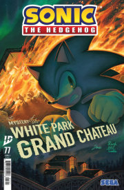 Sonic the Hedgehog #77 Variant B (Haines) 