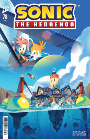 Sonic the Hedgehog #78 Variant RI (10) (Fourdraine) 