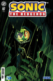 Sonic the Hedgehog #87 Variant RI (15) (Fourdraine) 