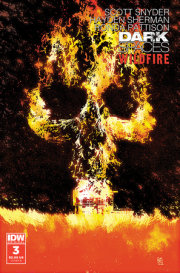 Dark Spaces: Wildfire #3 Variant B (Sorrentino ) 