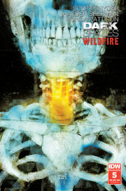 Dark Spaces: Wildfire #5 Variant D (Simmonds) 