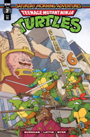 Teenage Mutant Ninja Turtles: Saturday Morning Adventures #3 Variant RI (10) (Murphy) 