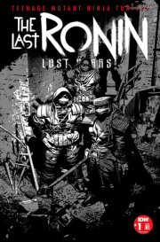 Teenage Mutant Ninja Turtles: The Last Ronin--Lost Years #1 Variant RI (50) (Deodato) 