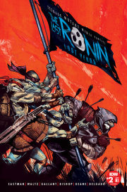Teenage Mutant Ninja Turtles: The Last Ronin--Lost Years #2 Variant RI (25) (del Mundo) 
