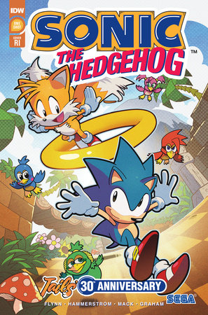 Sonic The Hedgehog: Sonic & Tails: Best Buds Forever - By Ian