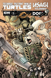 Teenage Mutant Ninja Turtles/Usagi Yojimbo: WhereWhen #5 Variant RI (50) (Petersen)