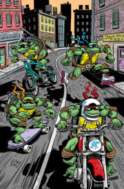 Teenage Mutant Ninja Turtles: Saturday Morning Adventures (2023-) #2 Variant RI (25) (Lawson Full Art)
