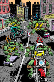 Teenage Mutant Ninja Turtles: Saturday Morning Adventures (2023-) #2 Variant RI (25) (Lawson Full Art) 