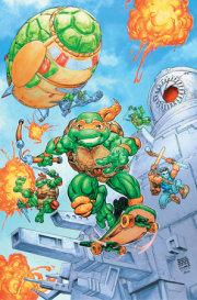 Teenage Mutant Ninja Turtles: Saturday Morning Adventures (2023-) #4 Variant RI (25) (Williams Full Art)