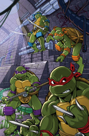 Teenage Mutant Ninja Turtles: Saturday Morning Adventures #8 Variant RI (25) (Escorzas Full Art) 