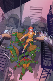 Teenage Mutant Ninja Turtles: Saturday Morning Adventures #9 Variant RI (25) (Levins)