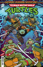 Teenage Mutant Ninja Turtles: Saturday Morning Adventures #24 Variant B (Neo) 