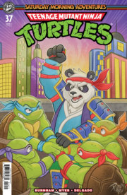 Teenage Mutant Ninja Turtles: Saturday Morning Adventures #37 Variant RI (10) (Vermaning) 