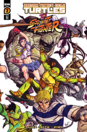 Teenage Mutant Ninja Turtles Vs. Street Fighter #3 Variant RI (25) (Federici) 