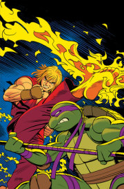 Teenage Mutant Ninja Turtles Vs. Street Fighter #5 Variant RI (250) (Romero Full  Art)