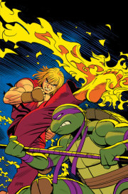 Teenage Mutant Ninja Turtles Vs. Street Fighter #5 Variant RI (250) (Romero Full Art) 