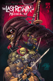 Teenage Mutant Ninja Turtles: The Last Ronin II—Re-Evolution #3 Variant RI (50) (Prado)