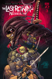 Teenage Mutant Ninja Turtles: The Last Ronin II--Re-Evolution #3 Variant RI (50) (Prado) 