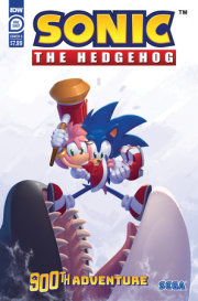 Sonic the Hedgehog's 900th Adventure Variant C (Stanley)