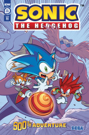 Sonic the Hedgehog's 900th Adventure Variant RI (25) (Elson)