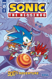 Sonic the Hedgehog's 900th Adventure Variant RI (25) (Elson) 