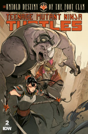 Teenage Mutant Ninja Turtles: The Untold Destiny of the Foot Clan #2 Variant RI (10) (Santtos)