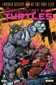 Teenage Mutant Ninja Turtles: The Untold Destiny of the Foot Clan #3 Variant B (Catalan) 