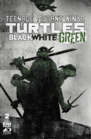 Teenage Mutant Ninja Turtles: Black, White, and Green #2 Variant B (Love)