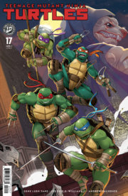 Teenage Mutant Ninja Turtles #17 Variant RI (50) (Mercer) 
