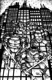Teenage Mutant Ninja Turtles #20: 300th Issue Special Variant RI (25) (Eastman & Laird Full Art B&W) 