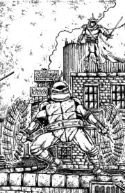 Teenage Mutant Ninja Turtles #23 Variant RI (10) (Eastman & Bishop B&W Full Art) 