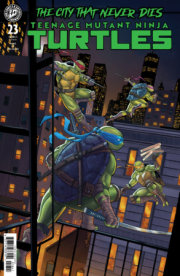 Teenage Mutant Ninja Turtles #23 Variant RI (25) (Bartok) 